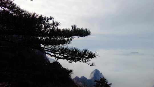 黄山风景区壮观山顶云海延时唯美风景视频素