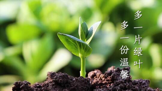 简洁3月12日植树节节日宣传片头展示