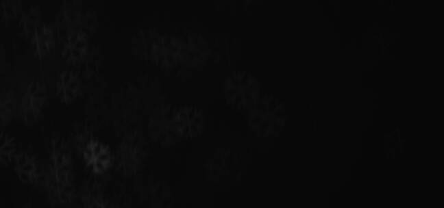 黑暗中的雪花动画视频