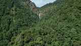 云南风光普洱茶山原始森林瀑布高清在线视频素材下载