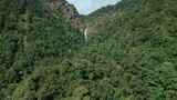 云南风光普洱茶山原始森林瀑布高清在线视频素材下载