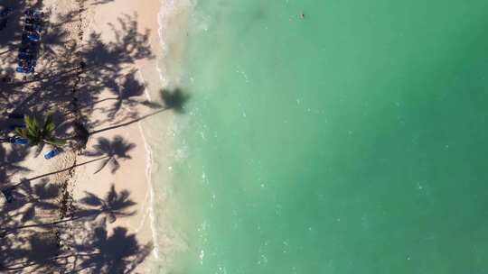 热带海滨，椰子棕榈树和绿松石加勒比海视频素材模板下载