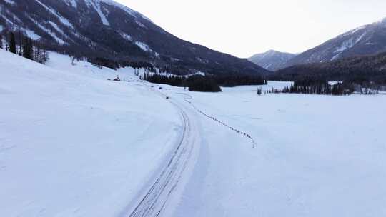 航拍新疆冬季喀纳斯神仙湾晨雾雪山森林雪景