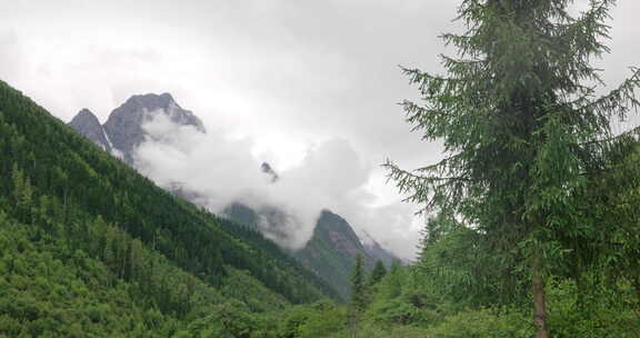 川西结斯沟山谷河流云雾雪山风光实拍