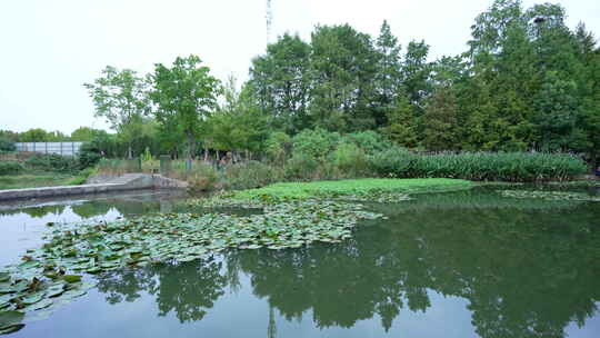 武汉光谷三路湿地公园风景