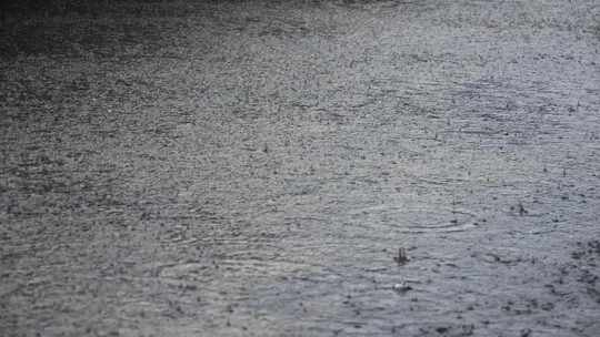 地面雨水滴落特写