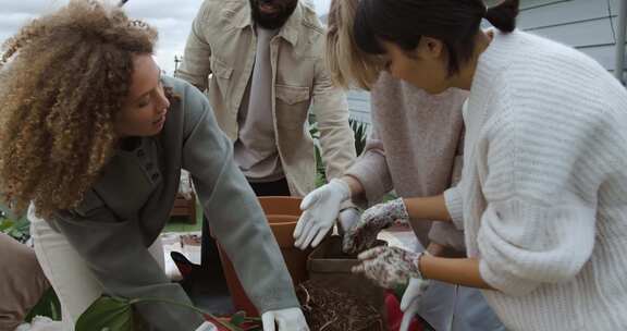 人们往花盆里倒土