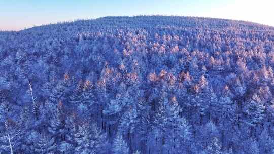 航拍大兴安岭林海雪原自然风光