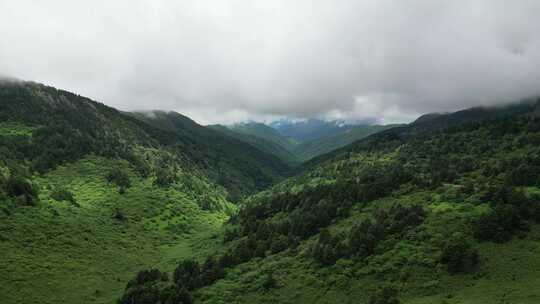 航拍湖北神农架神农坛5A景区