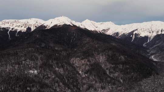 森林和白雪覆盖的山脉的航拍镜头