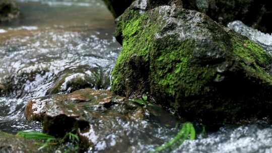 苔藓石头河流溪水升格