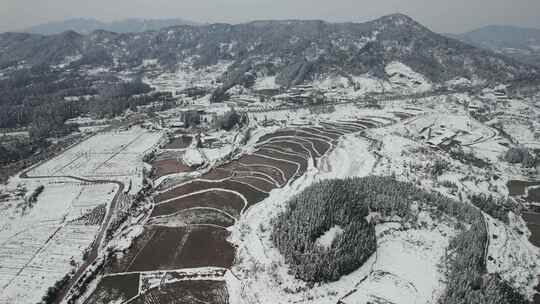 南方农田冬天雪景