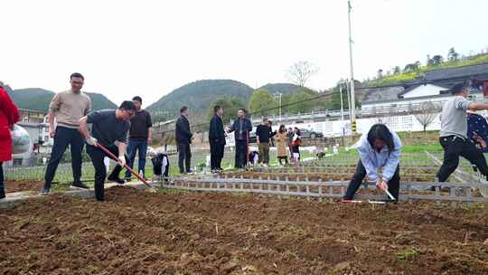 劳动空镜刨土锄地农场工人耕作劳作翻土