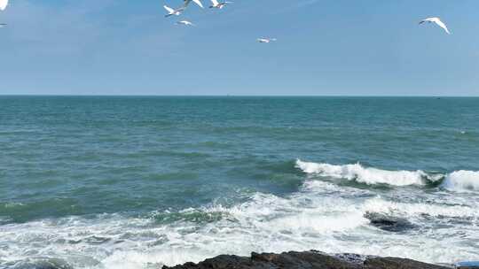 白鹤礁石海浪