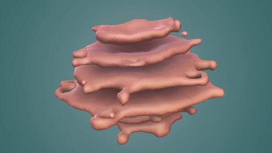 3D医学动画细胞动画 动物细胞 植物细胞