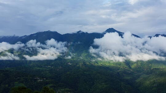 雨雾缭绕、光影斑驳的高黎贡山