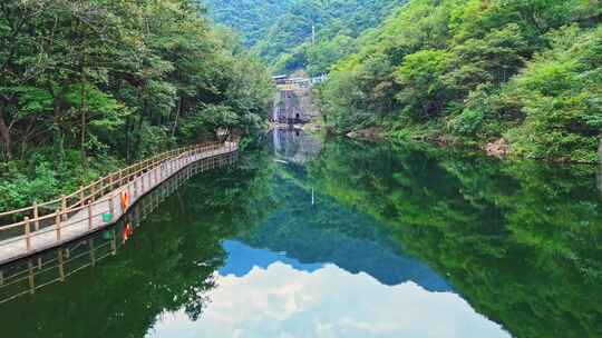 绿色森林湖泊水面航拍