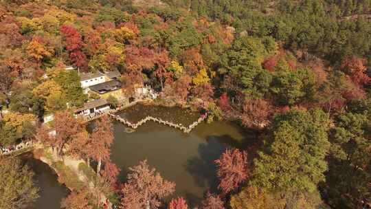 苏州天平山枫叶红了