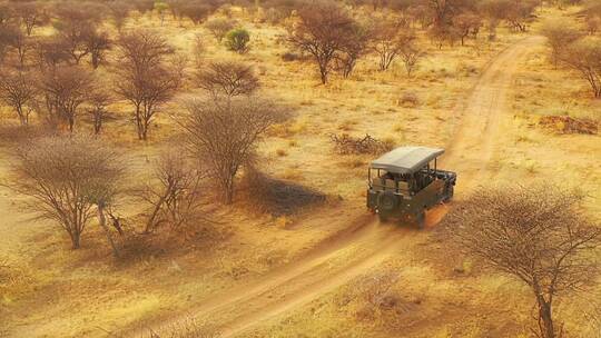 一辆狩猎吉普车在非洲平原上行驶