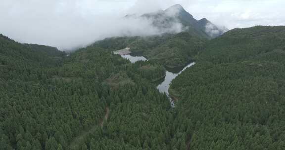 信宜大雾岭航拍生态林