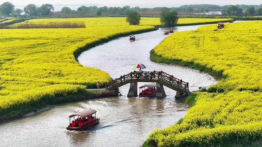 航拍扬州高邮湖上花海油菜花游船长焦