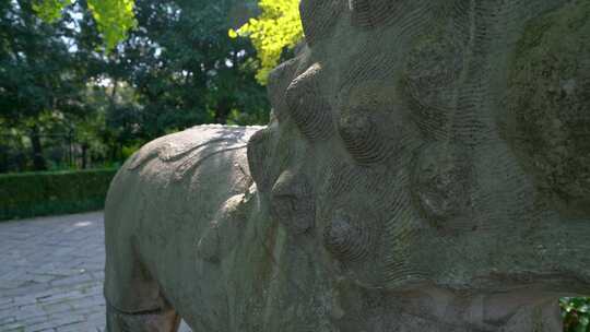 南京明孝陵景区石象路石狮子雕塑慢镜头空镜
