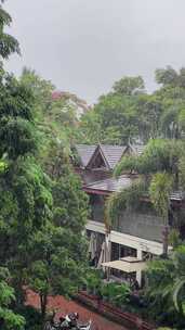 大雨中的西双版纳告庄街景：树木和民居