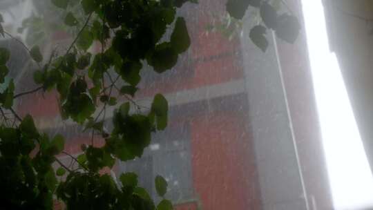 北京街道雨天车辆行驶场景