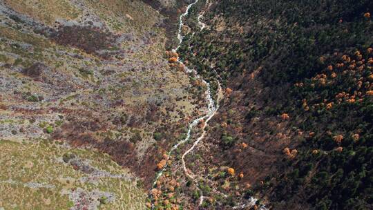 航拍俯瞰秋天的山谷和溪流