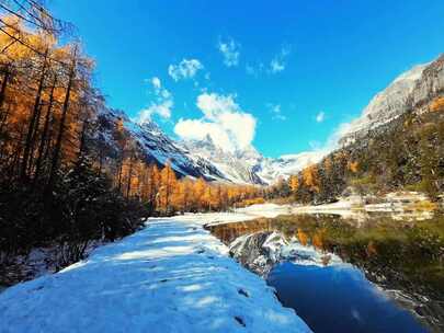 雪山下多彩树林与湖泊相映的美景