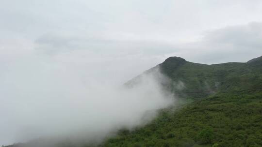 【4K】大山云海