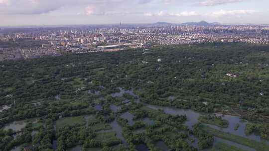 浙江杭州西溪湿地夏季航拍延时风光