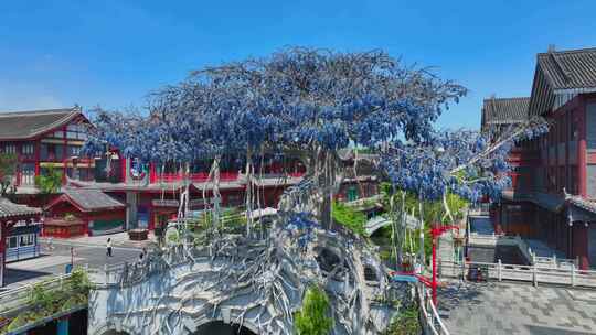 水街航拍 眉山市无忧城 眉山湿地公园