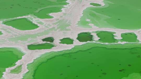 绿色的盐湖