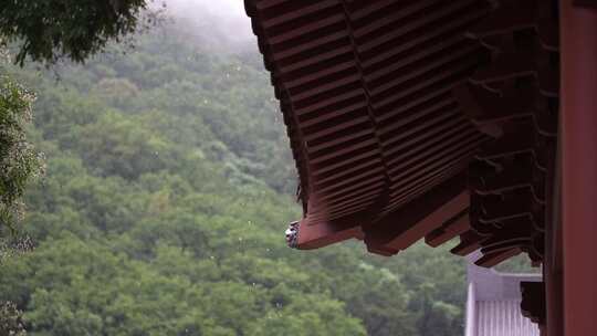 古建筑屋檐下雨空镜头大雨小雨雨季谷雨惊蛰