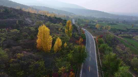 金色秋天旅游公路上行驶在风景中的汽车