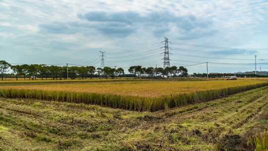 农业收割机 机械化收割