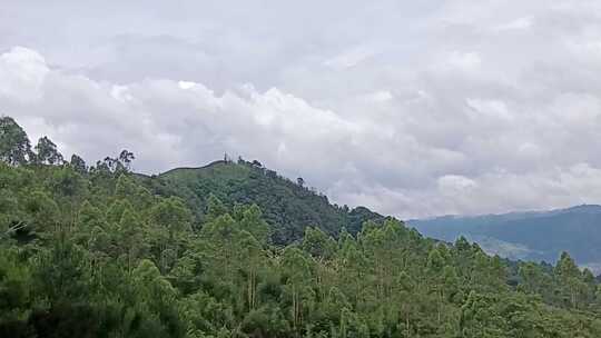 大自然的呼吸，山峰间的森林奇遇记