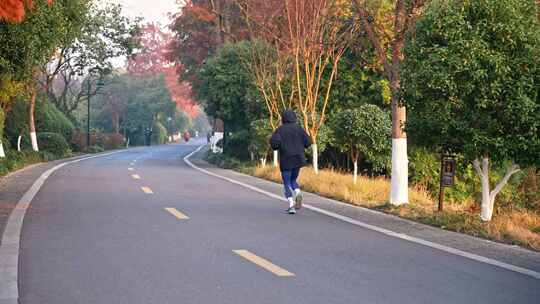 跑步 清晨阳光下跑步 锻炼 健身