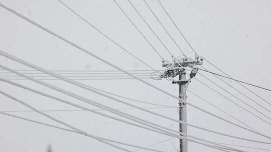 大雪飘落在电线杆