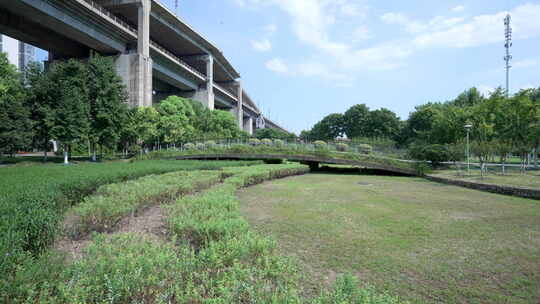 武汉青山区天兴洲大桥桥南公园