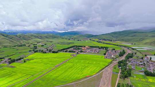 四川甘孜州道孚县惠远寺夏季草原油菜花航拍