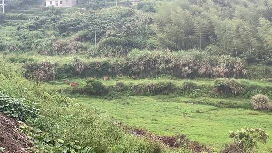 小山村风景4K实拍视频