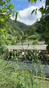 山间带棚建筑旁的繁茂绿植景观