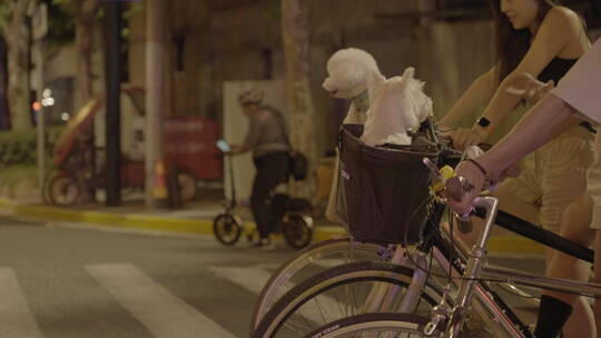 上海夜里年轻人单车