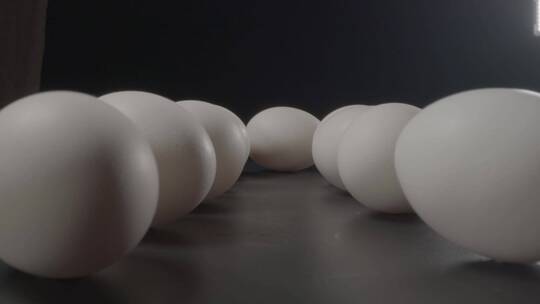 白皮鸡蛋LOG素材视频素材模板下载