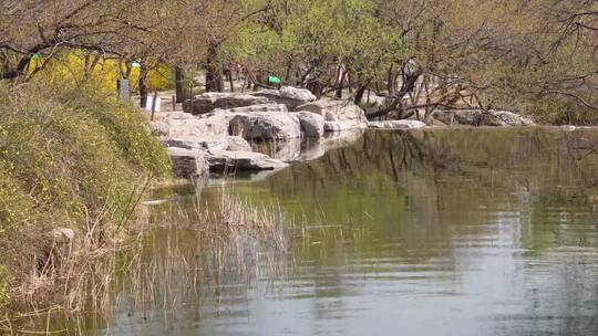 【镜头合集】旅游湖水湖边植物游客游览