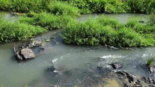 山涧溪流小河流水野外视频实拍