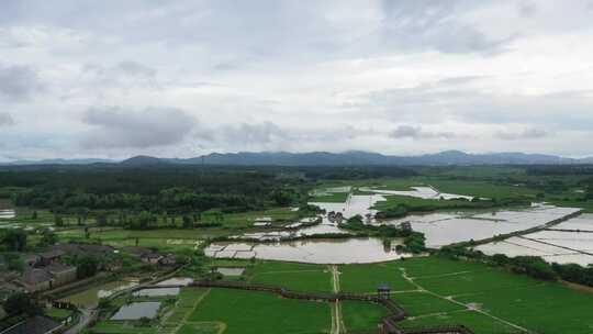 江西金溪：雨中古村别样美