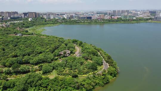 福永立新湖